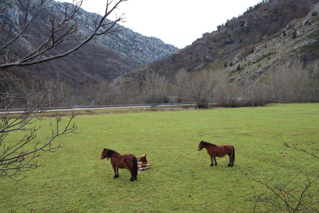 Hotel Moto-Rural "Vegalion" Las Salas Exterior photo